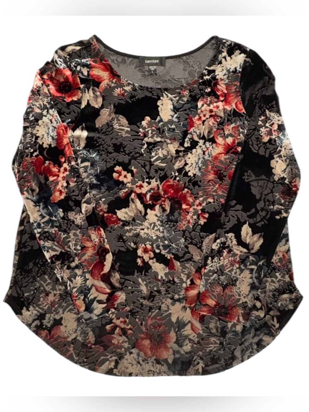 Large Dramatic Black Dark Red Botanical Whimsigoth Velvet Burnout Part Sheer Top